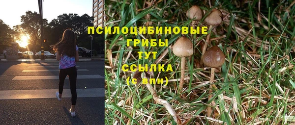 трава Алексин