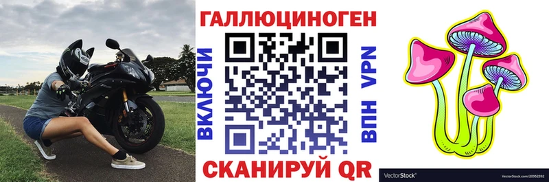 Галлюциногенные грибы Magic Shrooms Купить где Каменногорск
