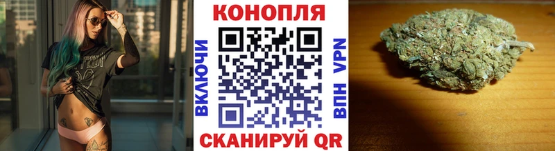 Купить закладки  Каменногорск  Бошки Шишки LSD WEED 